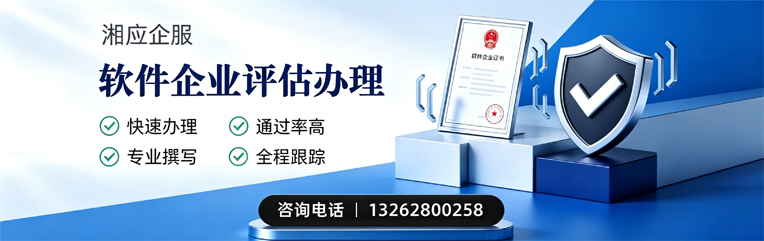 湖南软件企业评估申报服务