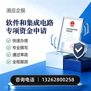 湖南软件和集成电路专项资金申报服务