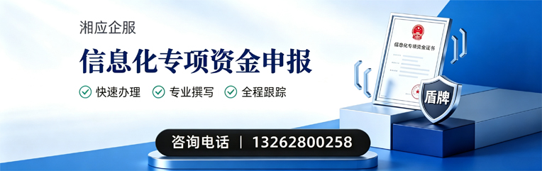 湖南信息化专项资金申报服务