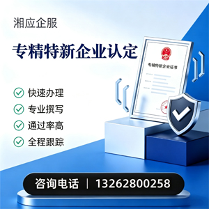 湖南专精特新企业申报服务