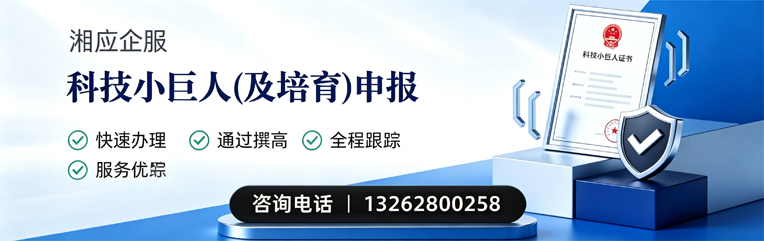 湖南科技小巨人及培育企业申报服务