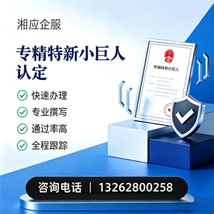 湖南专精特新小巨人申报服务