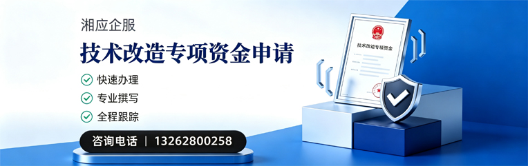 湖南技术改造专项资金申报服务
