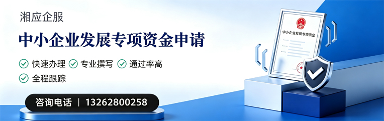 湖南中小企业发展专项资金申报服务