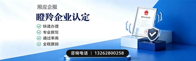 湖南瞪羚企业认定申报服务