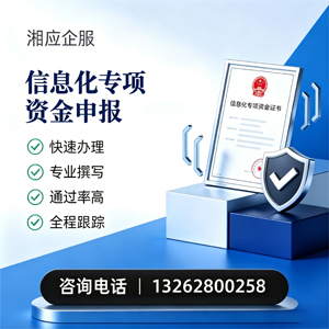 湖南信息化专项资金申报服务