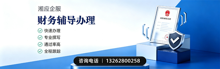 湖南财务辅导申请服务