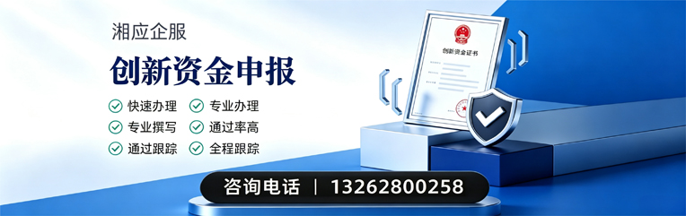 湖南创新资金申报服务