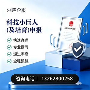 湖南科技小巨人及培育企业申报服务