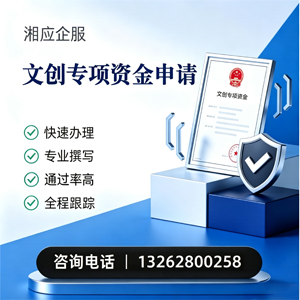 湖南文创专项资金申报服务