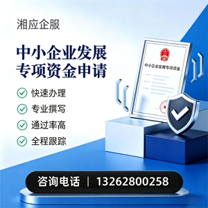湖南中小企业发展专项资金申报服务