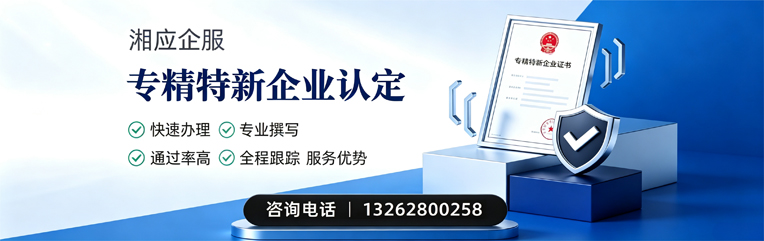 湖南专精特新企业申报服务