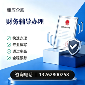 湖南财务辅导申请服务