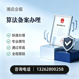湖南算法备案申报服务