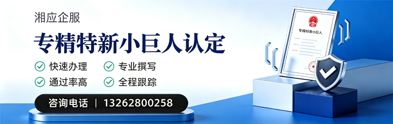 湖南专精特新小巨人申报服务